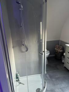 a bathroom with a shower and a toilet at The Cozy Cub in Romsey