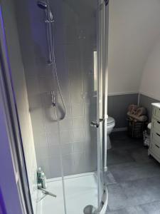a bathroom with a shower and a toilet at The Cozy Cub in Romsey +16 photos