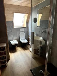 Koupelna v ubytování Huge Cottage in the Heart of the Triglav National Park