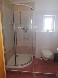 a bathroom with a shower and a toilet at Twins in Hurbanovo