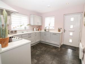a white kitchen with white cabinets and a cactus at 11 Parc Delfryn in Brynteg