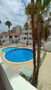 uma piscina com uma palmeira ao lado de um edifício em Parque Cattleya Las Americas Wifi Pool em Playa de las Americas