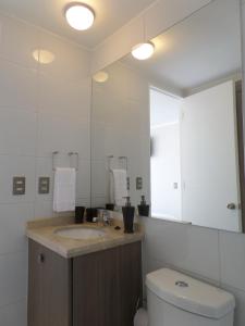La salle de bains est pourvue d'un lavabo, de toilettes et d'un miroir. dans l'établissement Santiago Neighborhood, à Santiago