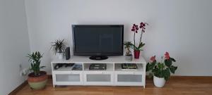 telewizor siedzący na białym centrum rozrywki z roślinami w obiekcie Appartement lumineux T3 avec jardin privatif à Hendaye - Parking et wif gratuit w mieście Hendaye
