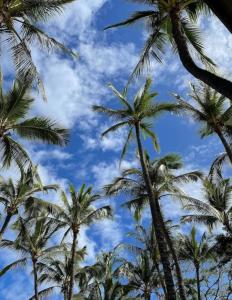 Foto sihtkohas Wailuku asuva majutusasutuse This place is different!! Award winning! Oceanfront, View View! galeriist
