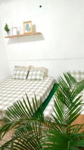 a bedroom with a bed and a palm plant at LORENT HOSTEL in Kampungdurian