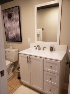 a bathroom with a sink and a toilet and a mirror at Bright & Spacious Studio Close to CLT Airport in Gastonia