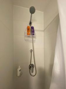 a shower with a shower head in a bathroom at Departamento Central Valdivia in Valdivia