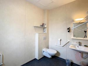 a bathroom with a toilet and a sink at Charmant F2 climatisé avec terrasse, proche Thermes, parking privé, animaux acceptés - FR-1-451-163 in Lamalou-les-Bains +7 photos