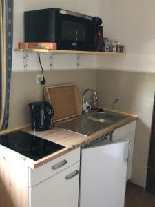 Kuchyňa alebo kuchynka v ubytovaní Ferienwohnung im Nationalpark Gesäuse