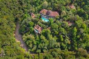 an aerial view of a house in the forest at Ayung Resort Ubud in Payangan