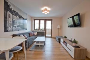 Televízia a/alebo spoločenská miestnosť v ubytovaní Academy Apartment Cieszyn