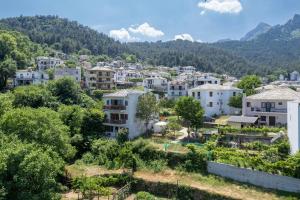 a city in the mountains with houses and trees at Whitegold Apartments Panagia in Panagia