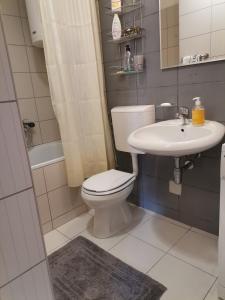 a bathroom with a toilet and a sink at Apartment Andjela in Belgrade