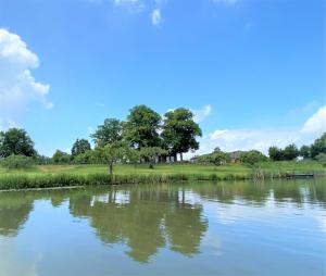 Φωτογραφία από το άλμπουμ του De Os en het Paard σε Deil