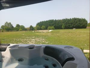 a view of a field with a cow in the distance at Domaine bulle étoilée in Rouilly-Sacey