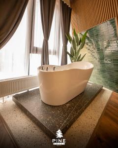 a white bath tub sitting on a counter in a bathroom at Pine Villas Brezovice in Brezovicë