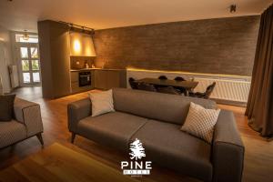 a living room with a couch and a table at Pine Villas Brezovice in Brezovica +13 photos