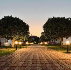 a cobblestone road with trees and lights on it at Stomio Villague in Filiatra