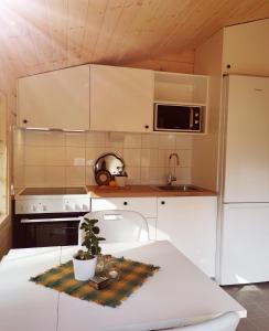 Kitchen o kitchenette sa Timber cottages with jacuzzi and sauna near lake Vänern