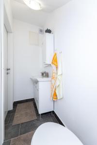 Kuchnia lub aneks kuchenny w obiekcie Apartment Josip Brusic