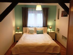 1 dormitorio con 1 cama grande y ventana en Abamus, en Cracovia