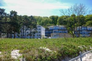 a group of houses in a field with trees at Ferienhaus Happytime in Binz