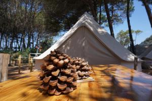 a pine cone on a wooden table next to a tent at Pigna Felice Punta Ala in Punta Ala
