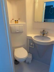 małą łazienkę z toaletą i umywalką w obiekcie Maison De Savoie w mieście Saint-Pierre-dʼAlbigny
