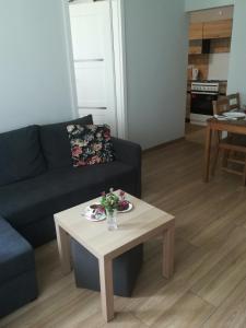 Kuchyňa alebo kuchynka v ubytovaní Apartament Parkowy 2 pokojowy