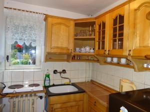 A cozinha ou cozinha compacta de Apartmán - Dagmar