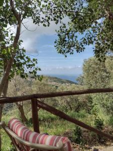 Foto dalla galleria di Il Casale Soffio di Terra B&B a Maierà Altre 17 foto