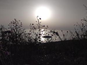 Foto dalla galleria di Il Casale Soffio di Terra B&B a Maierà