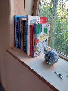 un estante con libros y un jarrón en el alféizar de la ventana en Domek pod Lawędą, Roztocze, 