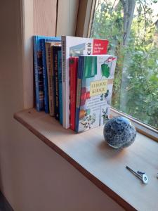 a shelf with books and a vase on a window sill at Domek pod Lawendą, Roztocze in Rebizanty