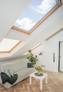 a living room with a couch and a skylight at House 22A Apartments in Kaunas