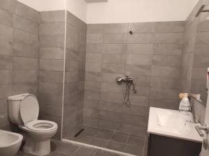 a bathroom with a toilet and a shower and a sink at Modern apartment in Tirana in Tirana