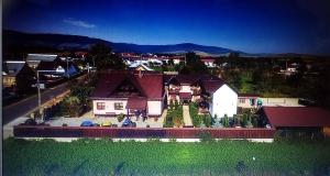 an aerial view of a house with a green yard at Pensiunea Denisa in Săcăluşeşti