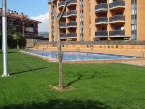 a tree in the grass next to a swimming pool at Boadella-Fenals in Lloret de Mar