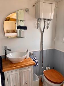 A bathroom at Bluebell Shepherds Hut Angelsey with Hot Tub