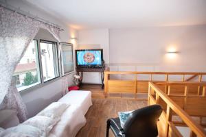 TV a/nebo společenská místnost v ubytování House Euphoria