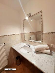 a bathroom with a sink and a mirror at Appartement Bel Monte in Bad Kleinkirchheim