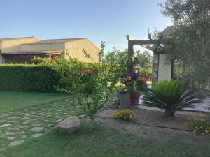 un jardin avec un arbre et des fleurs dans une cour dans l'établissement Agriturismo Is Solinas, à Masainas