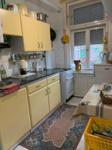 kuchnia z żółtymi szafkami i blatem w obiekcie Edit Villa w Balatonfüred