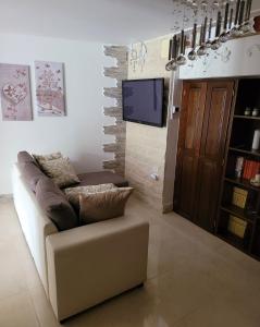 Il comprend un salon doté d'un canapé et d'une télévision à écran plat. dans l'établissement La Casa Delle Rose 1, à Giba