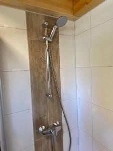 アルノルトシュタインにあるKWO-villa Sonnenglückのバスルーム(シャワー、シャワーヘッド付)が備わります。