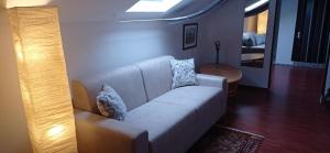 een woonkamer met een bank met kussens erop bij Appartamento mansardato iPatrizi in Moncalieri