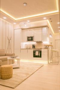 Kuchyň nebo kuchyňský kout v ubytování PANNI LUXURY Apartment next to Gozsdu garden