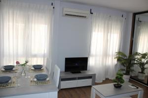 TV a/nebo společenská místnost v ubytování INCREIBLE APARTAMENTO CENTRO GRANADA ALHAMBRA