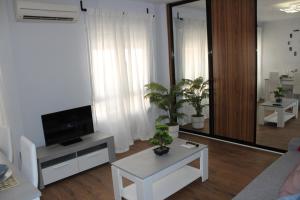 TV a/nebo společenská místnost v ubytování INCREIBLE APARTAMENTO CENTRO GRANADA ALHAMBRA